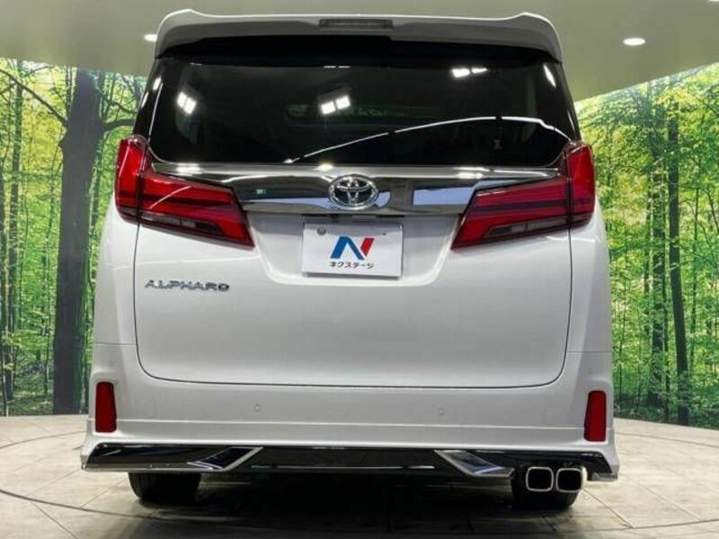 ALPHARD-16