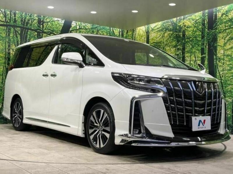 ALPHARD-17