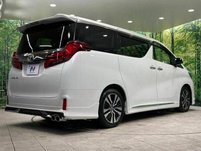 ALPHARD-18