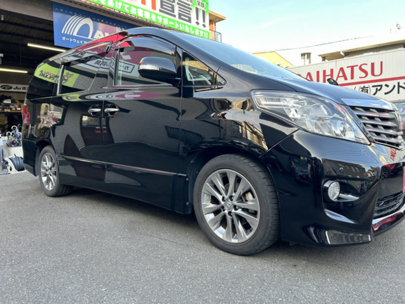 ALPHARD-13