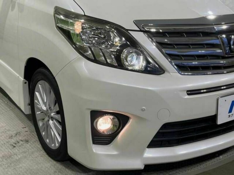 ALPHARD-13