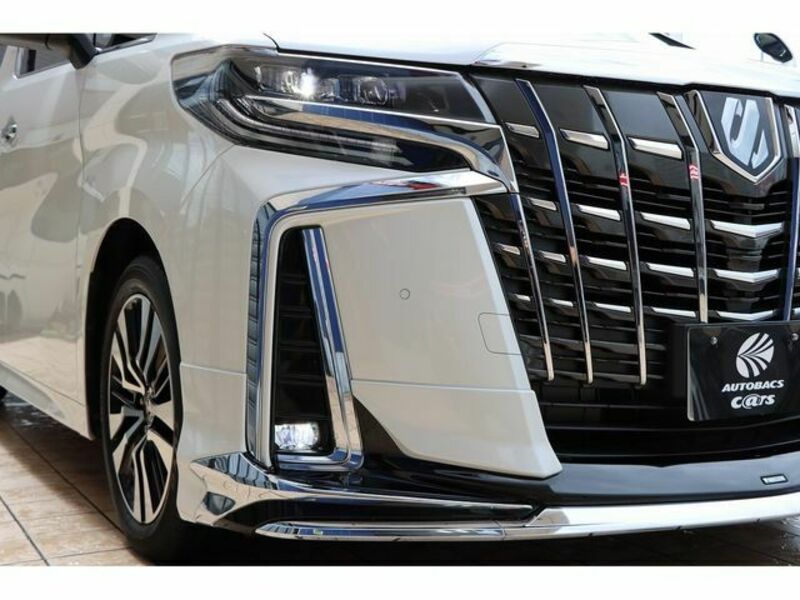 ALPHARD-26