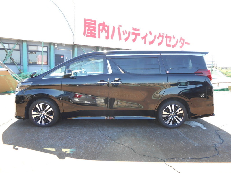 ALPHARD-15