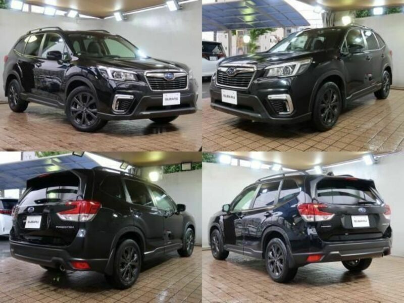 FORESTER-1