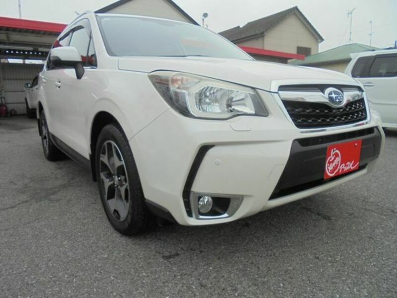 FORESTER-3