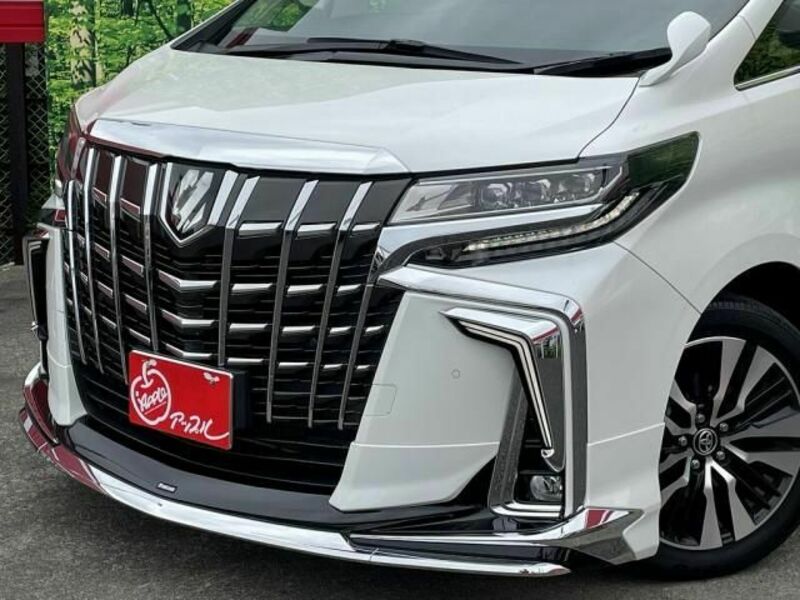 ALPHARD-2