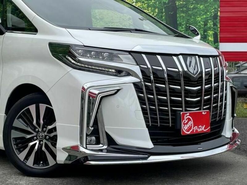 ALPHARD-6