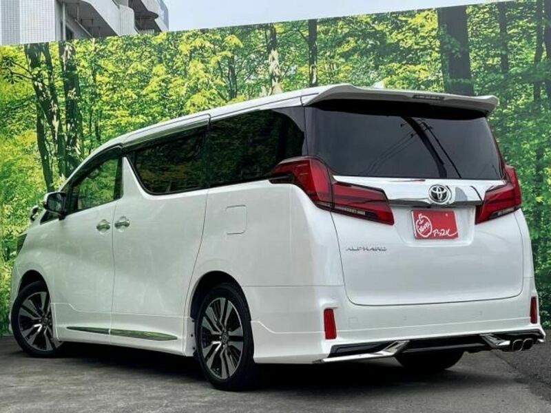 ALPHARD-8