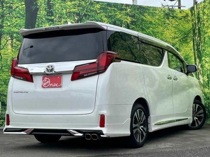 ALPHARD-10