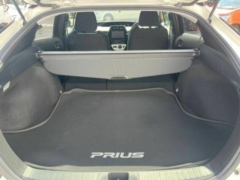 PRIUS-10