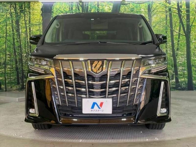 ALPHARD-16