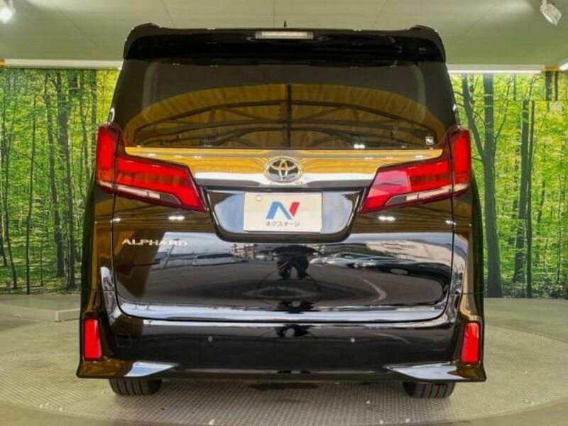 ALPHARD-17