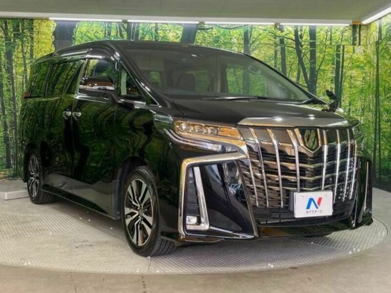 ALPHARD-18