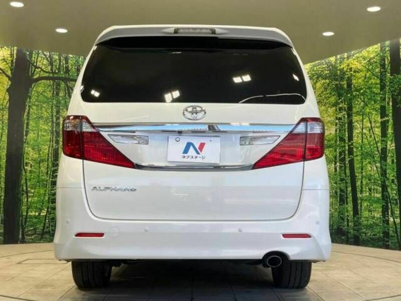 ALPHARD-16