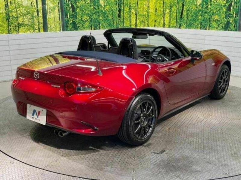 ROADSTER-17