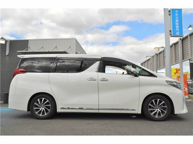 ALPHARD-6