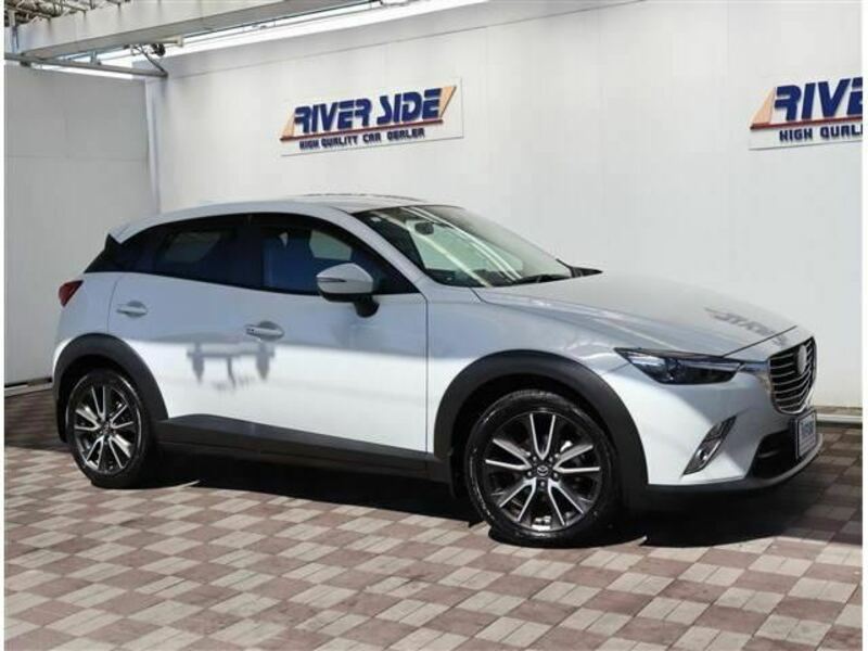 CX-3-19