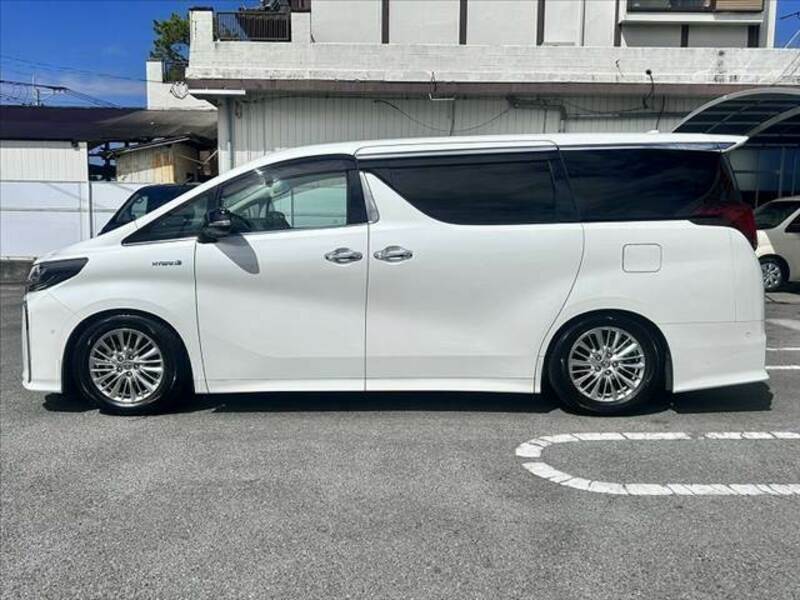 ALPHARD-10