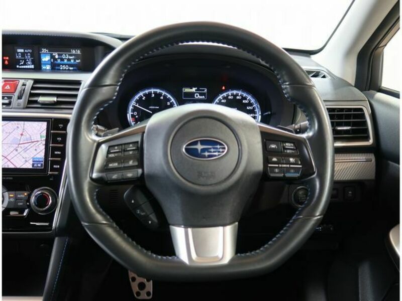 LEVORG-21