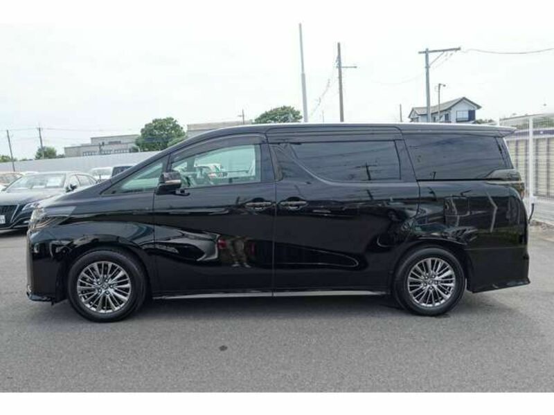 ALPHARD-4