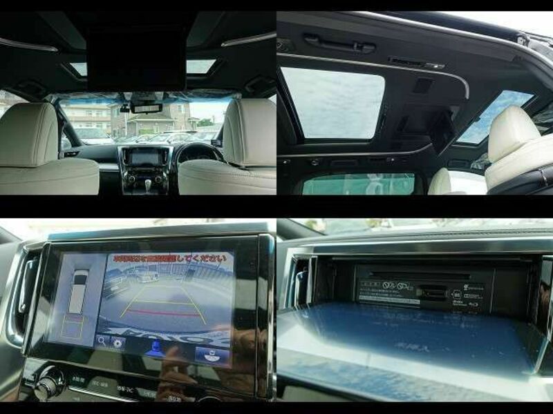 ALPHARD-8