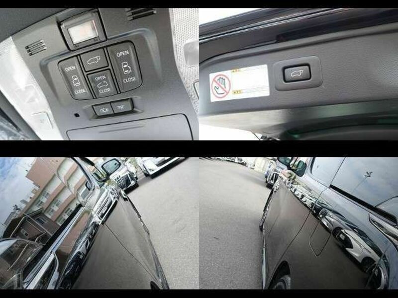 ALPHARD-13