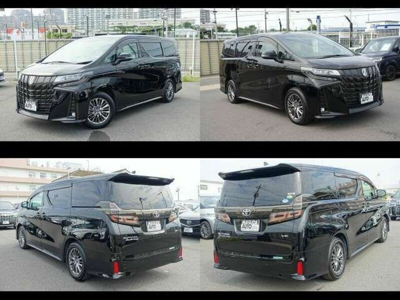 ALPHARD-16