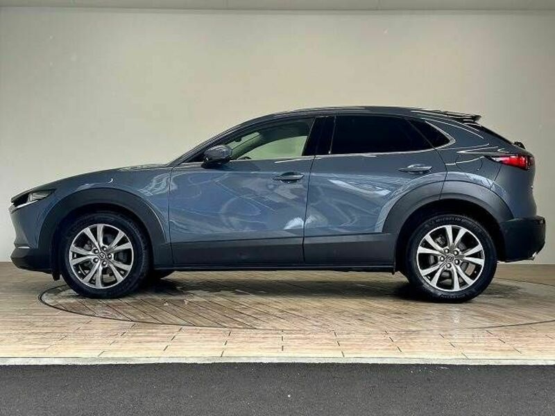 CX-30-13