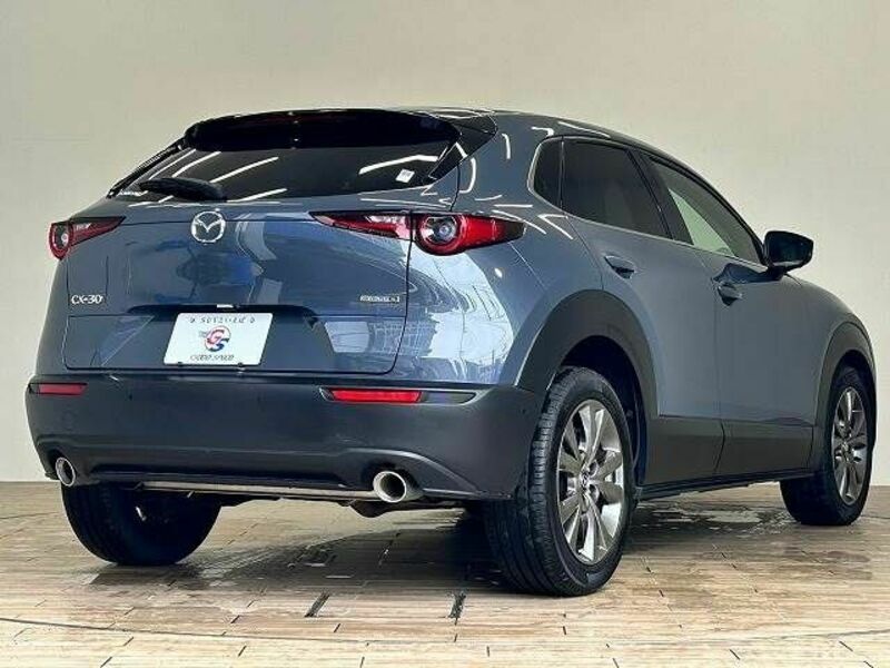 CX-30-16