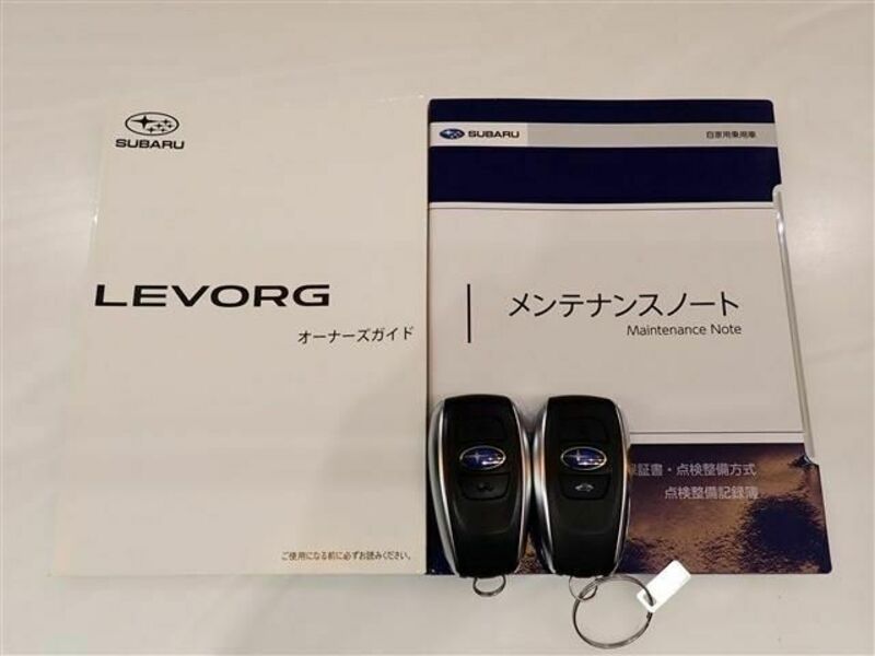 LEVORG-2