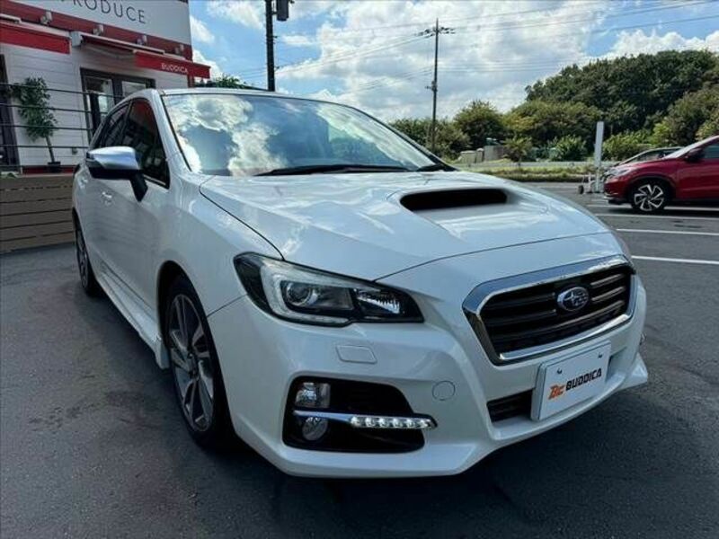 LEVORG-7