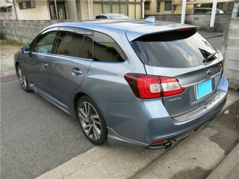 LEVORG-4