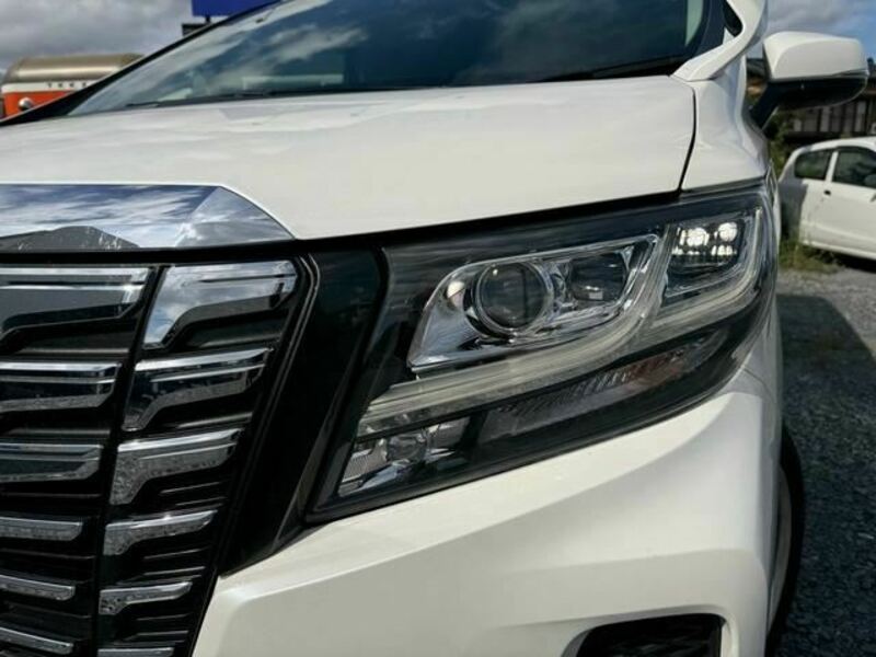 ALPHARD-2