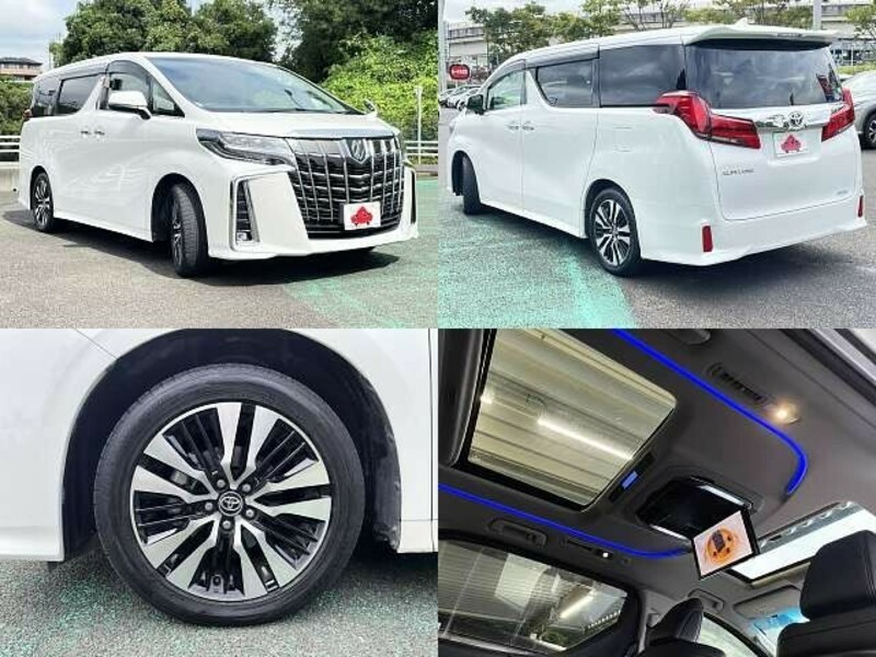 ALPHARD-3