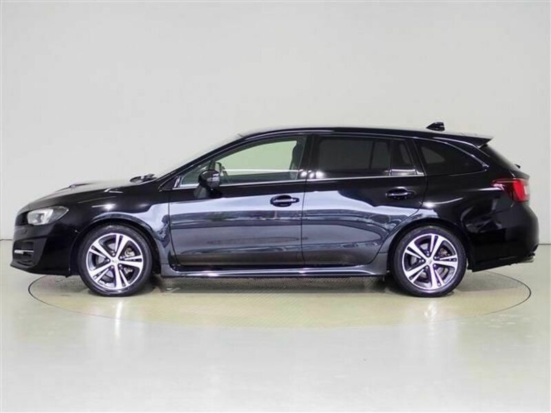 LEVORG-28