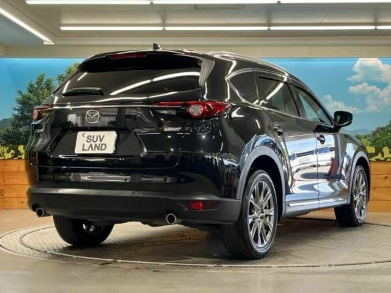 CX-8-18