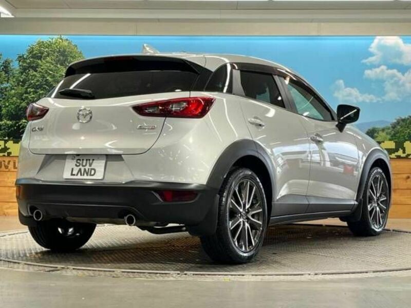 CX-3-17