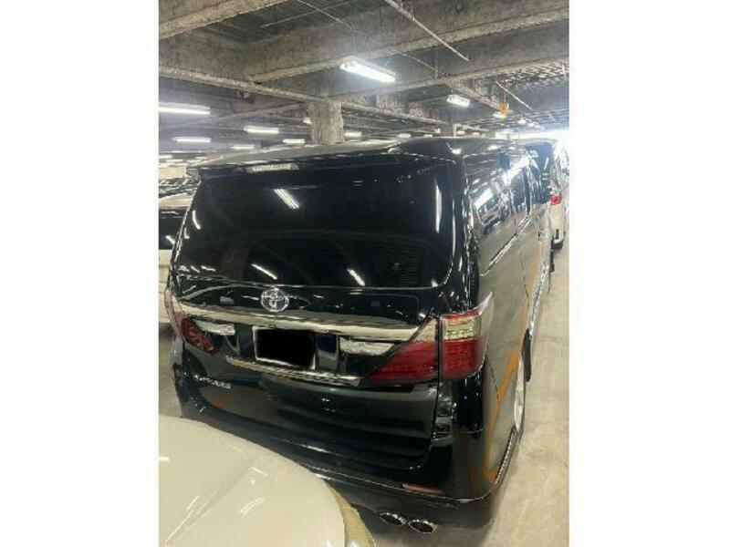 ALPHARD-1