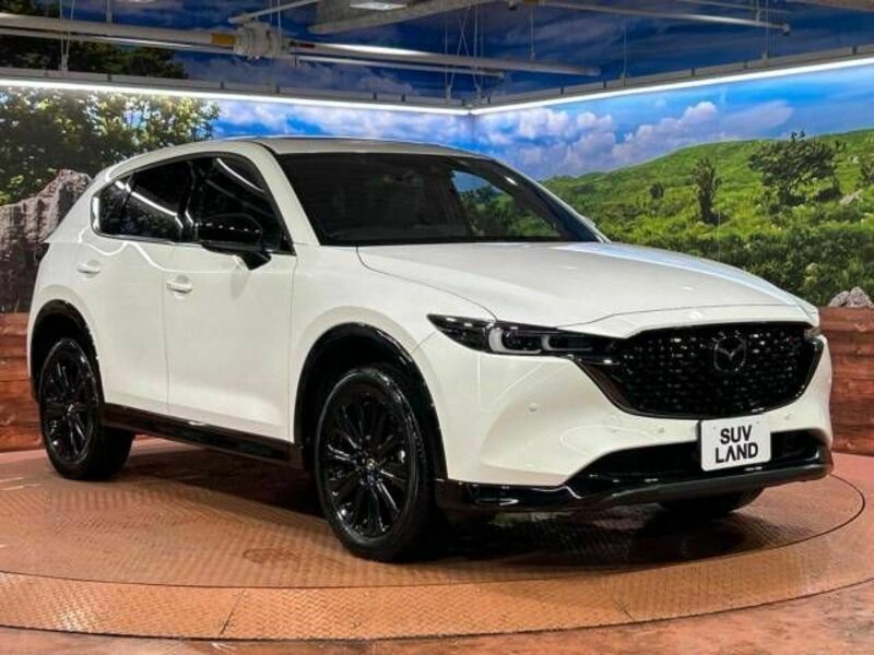 CX-5-18