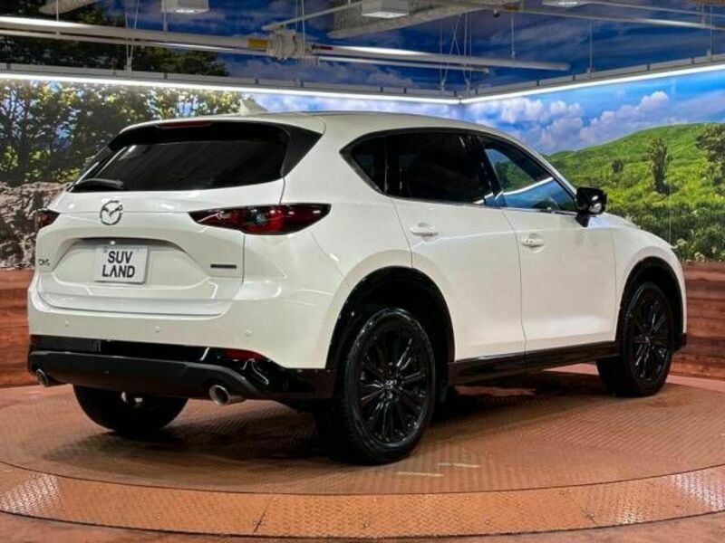 CX-5-19