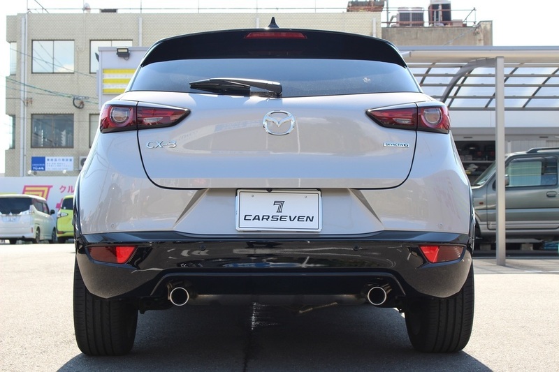 CX-3-3