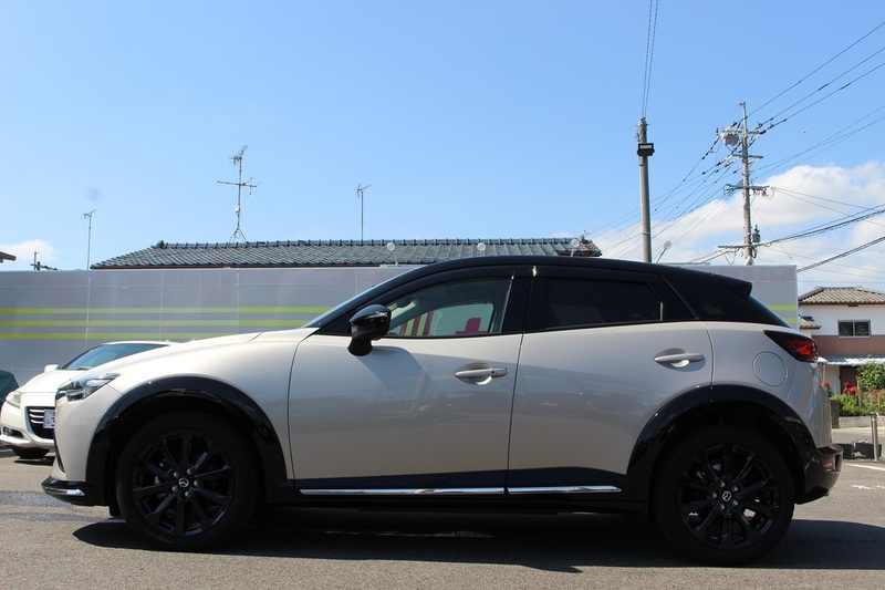 CX-3-6