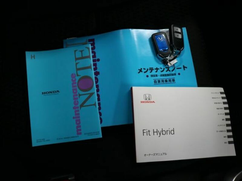 FIT HYBRID-26