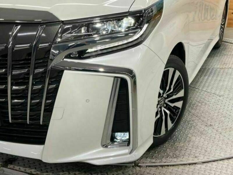 ALPHARD-14