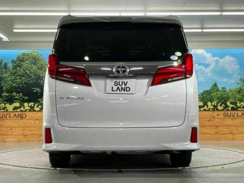 ALPHARD-16