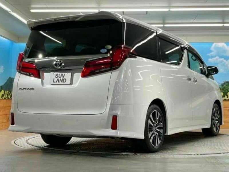 ALPHARD-18