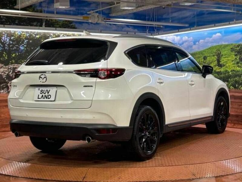 CX-8-17