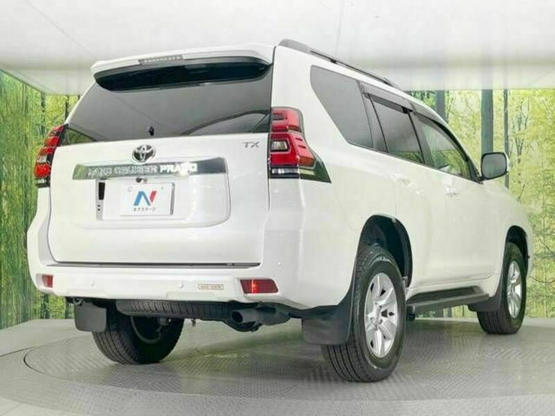 LAND CRUISER PRADO-18