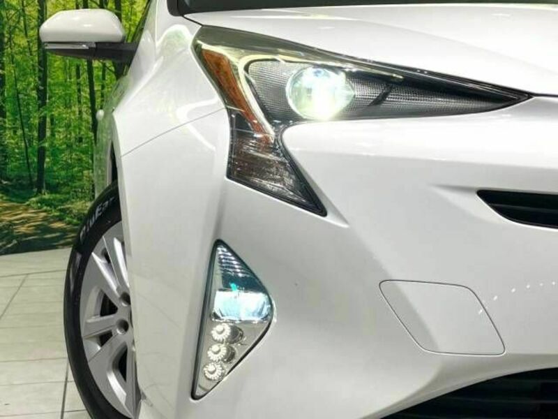 PRIUS-13