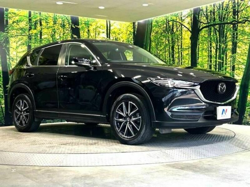 CX-5-16